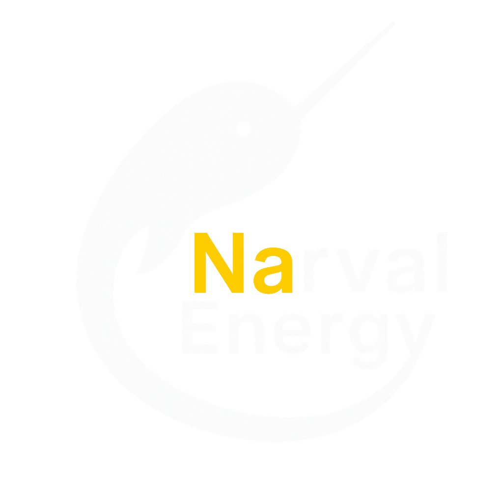 Narval Energy